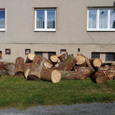 Marta P Lägenhet Detrichov Nad Bystrici Exteriör bild